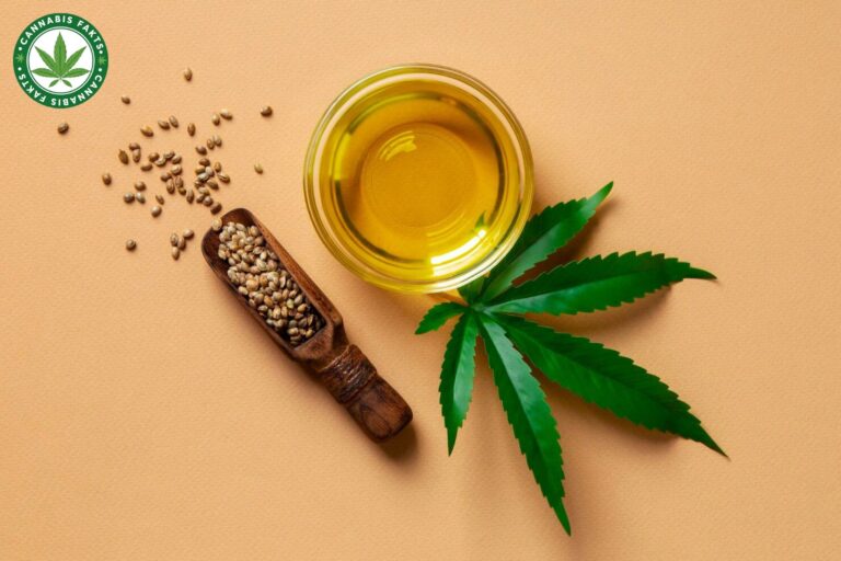 Exploring Culinary Delights: Cannabis Oil Recipes to Satisfy Your Palate