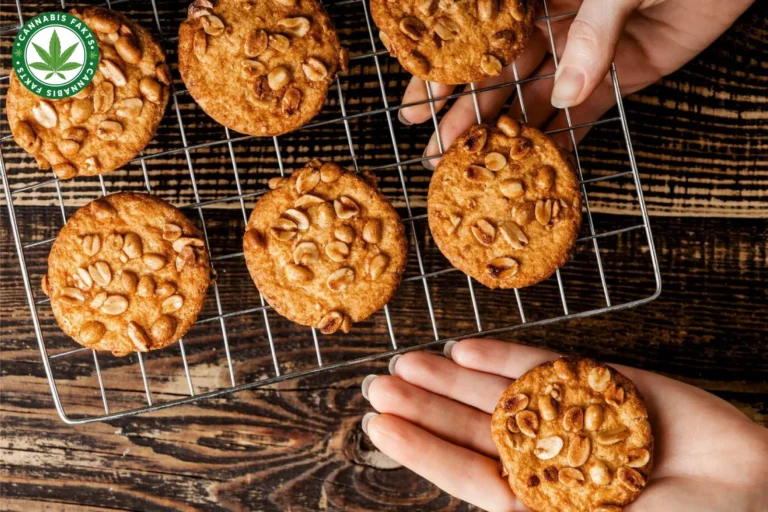 Cannabis Peanut Butter Cookies Recipe: Mastering the Art of Edibles