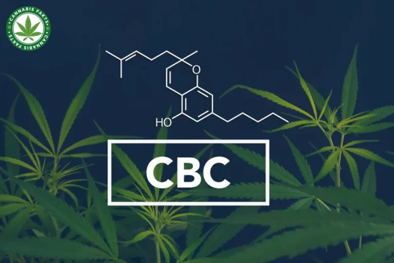 Unlocking the Potential: Exploring CBC Cannabinoid Benefits in Health and Wellness with Gummies