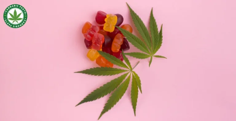 Legal Cannabis Gummies: A Comprehensive Guide