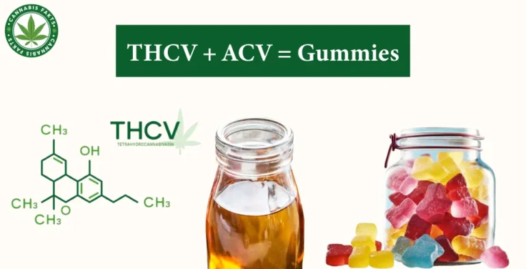 The THCV + ACV Gummies: A Tasty Way to Experience Cannabinoid Diversity