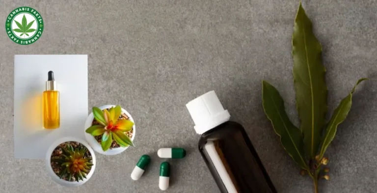 CBD Oil vs. CBD Capsules: Which is Right for You?