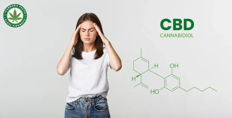 Can CBD Be Your Solution for Stress Management?