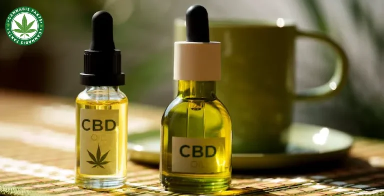 CBD for Sex Life A Guide to Better Connection and Satisfaction