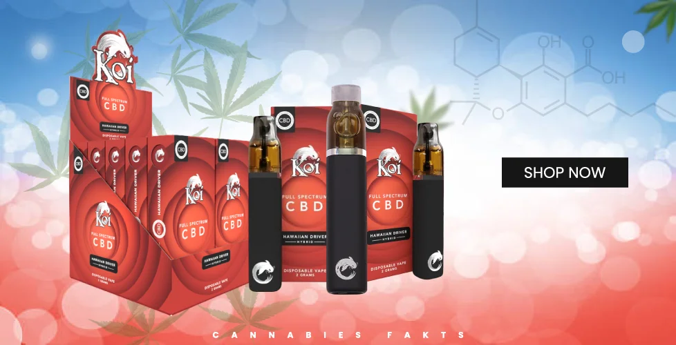 Koi Full Spectrum CBD Disposable Vape 2g
