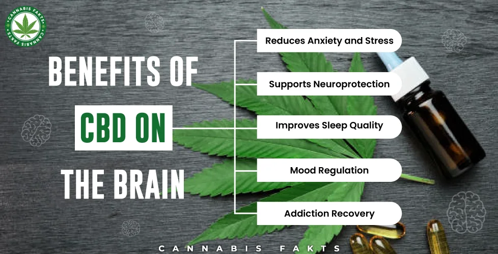 Benefits of CBD on the Brain