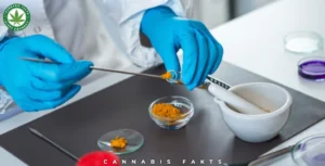 Do CBD Dabs Get You High? Everything You Need to Know