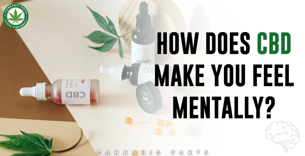 How Does CBD Make You Feel Mentally?