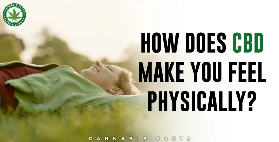 How Does CBD Make You Feel Physically?