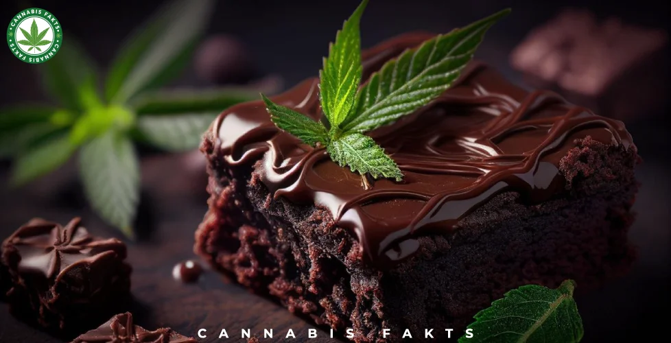 What Are Weed Brownies?