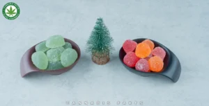 Bliss CBD Gummies vs Other CBD Edibles: Which Is Better?