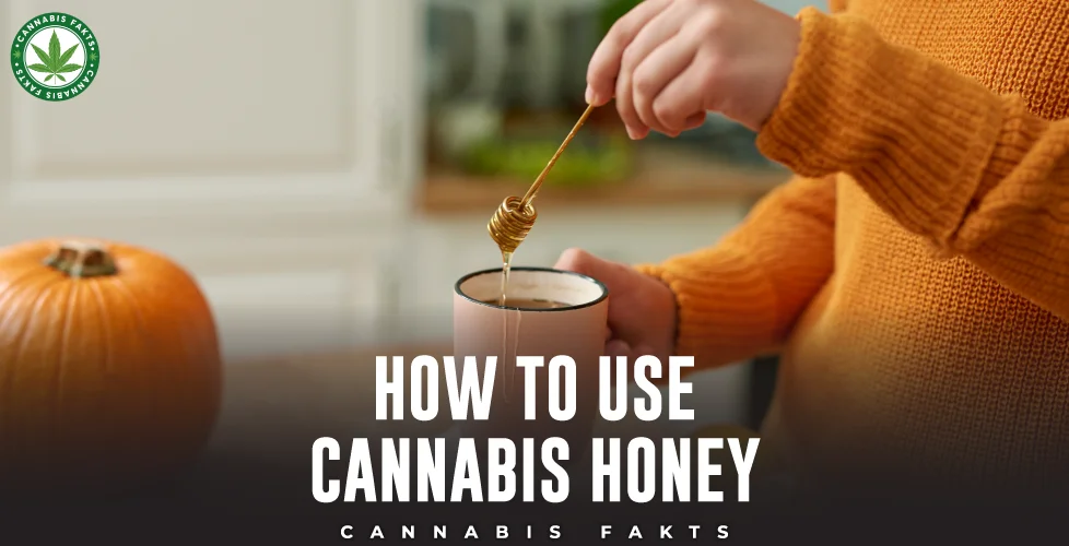 How to Use Cannabis Honey