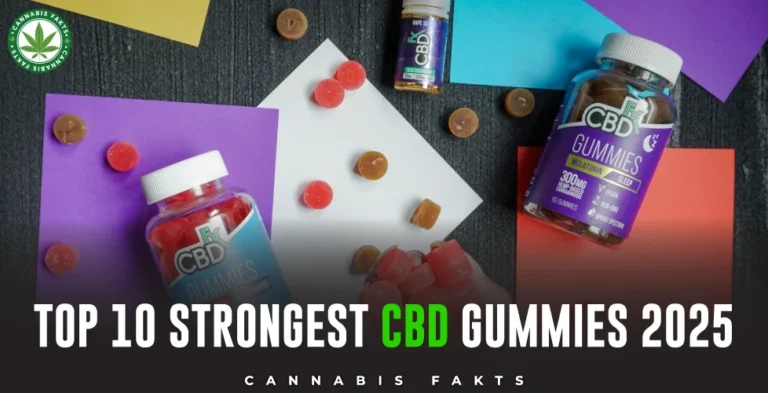 Top 10 Strongest CBD Gummies 2025: Potency & Relief