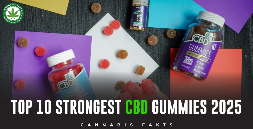 Top 10 Strongest CBD Gummies 2025: Potency & Relief