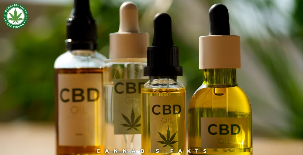 Types of CBD Oils