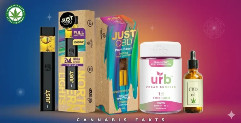 How Long Does CBD Stay in Your System