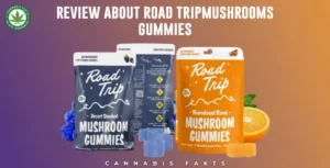 Road Trip Mushroom Gummies Journey Toward Elevated Wellness