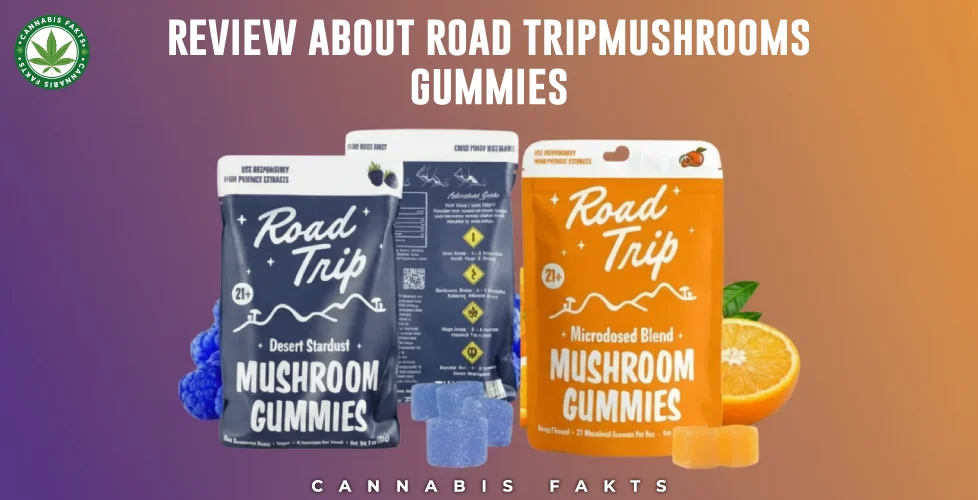 Road Trip Mushroom Gummies Journey Toward Elevated Wellness