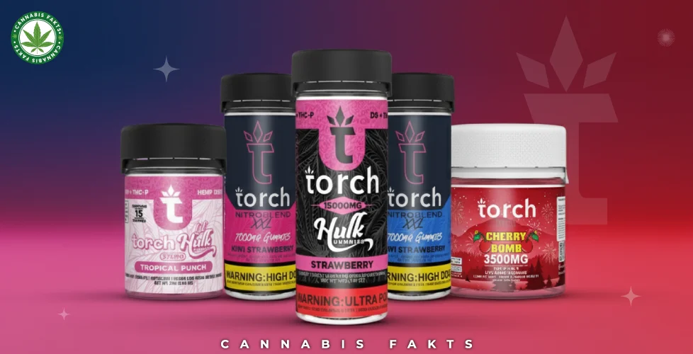 Torch Gummies Review The Ultimate Deep Dive into Flavor