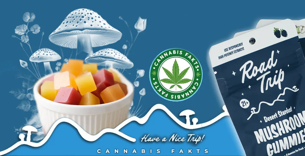 What Are Road Trip Mushroom Gummies Made Of