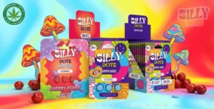 Silly Dots Review What’s Inside,How It Works, and How to Use It