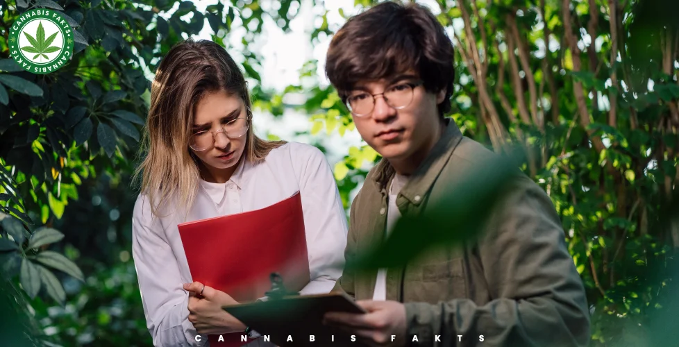 Couples Who Cannabis Together: Stories and Research Insights