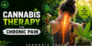 Cannabis Therapy for Chronic Pain Benefits & What to Know