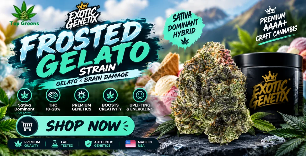 Frosted Gelato Strain